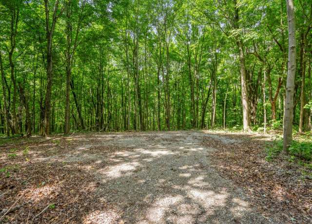 Property at 0 Potts Hill Rd, Bainbridge, OH 45612