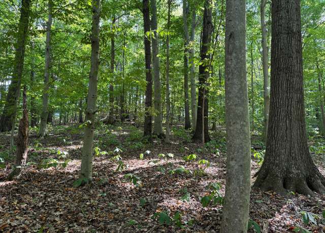 Property at 0 SR 684 Rd Unit (Tract 12 Albany Woods), Albany, OH 45710