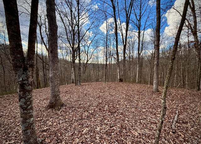 Property at 0 Loudermilk Rd, Glouster, OH 45732
