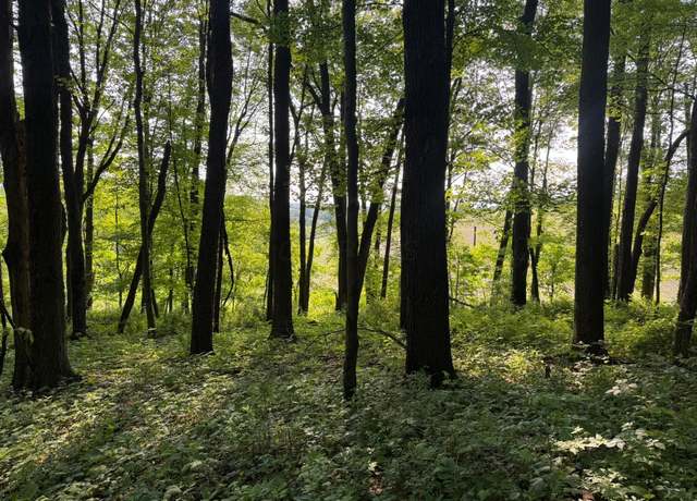 Property at 0 King Rd, Howard, OH 43028