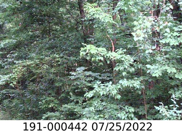 Property at 0 E Minnesota Ave, Columbus, OH 43219