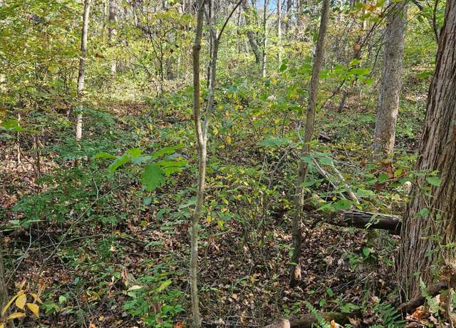 Property at 0 Heddleson Rdg, Lower Salem, OH 45745