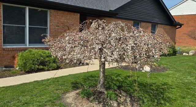 Photo of 5341 Harveysburg Rd, Waynesville, OH 45068