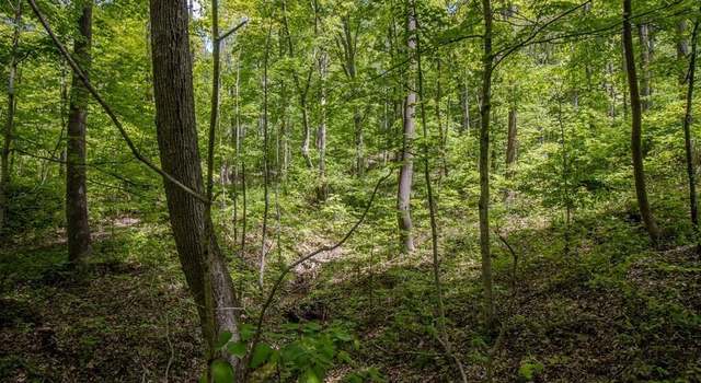 Photo of 0 Kinzer Rd, Bainbridge, OH 45612