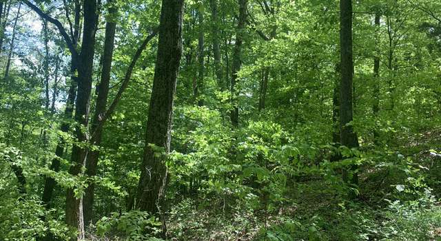 Photo of 0 Tennant Rd Unit Tract 2, Ray, OH 45672