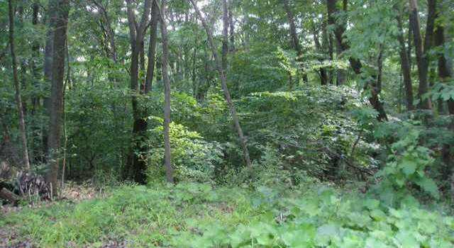 Photo of 1239 Zuni Ln, Sugar Grove, OH 43155