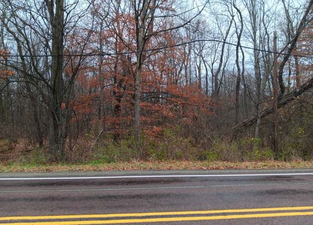 Property at 00 Route 217, Derry Twp, PA 15627