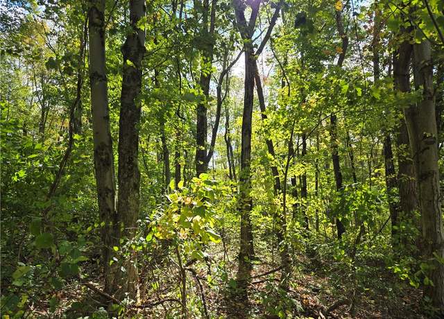 Property at 000 Lot 24 Dally Rd, Long Branch Boro, PA 15423
