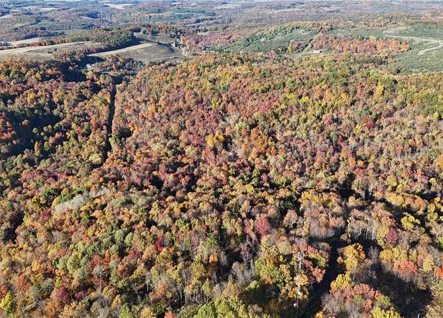 Property at 76 Acres Along Braughler Rd, Montgomery/grant, PA 15759