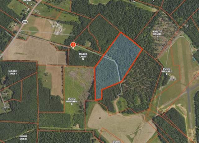 Property at 50 Acres Along Bird Ln, Pine Twp/heilwood, PA 15957