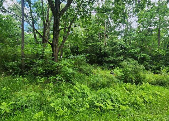Property at 0000 Novinger Rd, Gilpin Twp, PA 15656