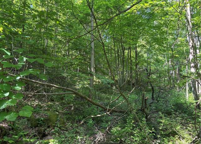 Property at 000 Fowl Hill Rd, Saltlick Twp, PA 15462