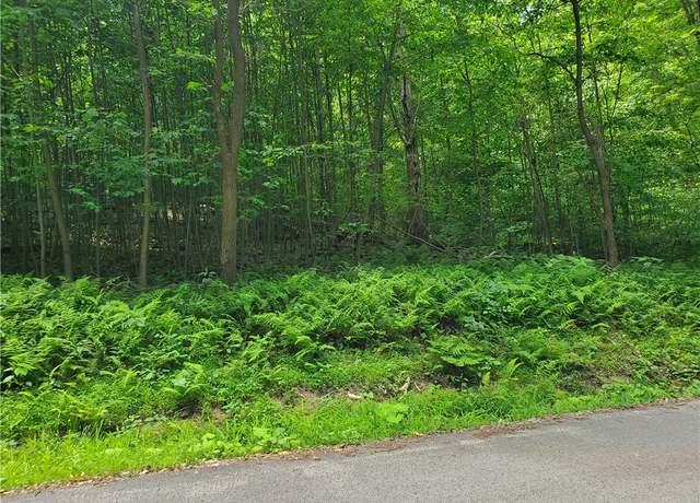Property at 0 Cottonwood Rd, Bullskin Twp, PA 15610