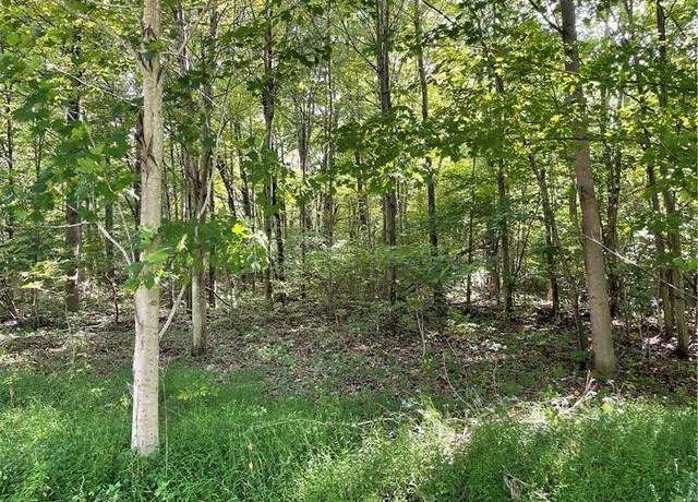 Property at 1237 Mountainview Rd, Bullskin Twp, PA 15610