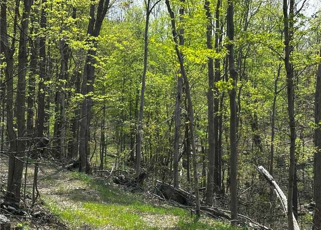 Property at 26115 Jumonville Rd, North Union Twp, PA 15445