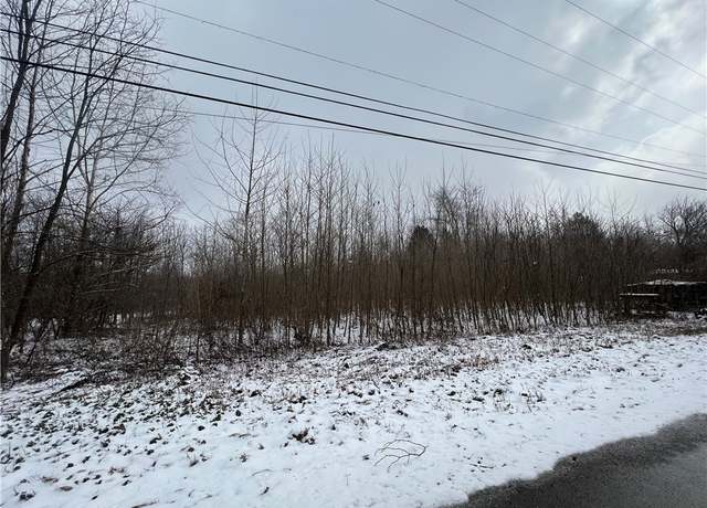 Property at Lots 61-64 Willow Dr, North Beaver Twp, PA 16102