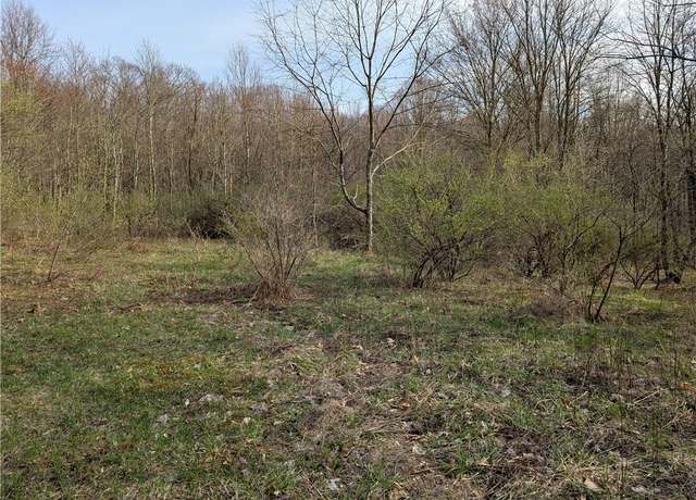 Property at TBD German Lutheran Church Cemetery Rd, E/w Wheatfield Twp, PA 15944