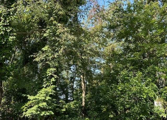Property at Lots 46 & 47 Roosevelt St, Conway, PA 15027