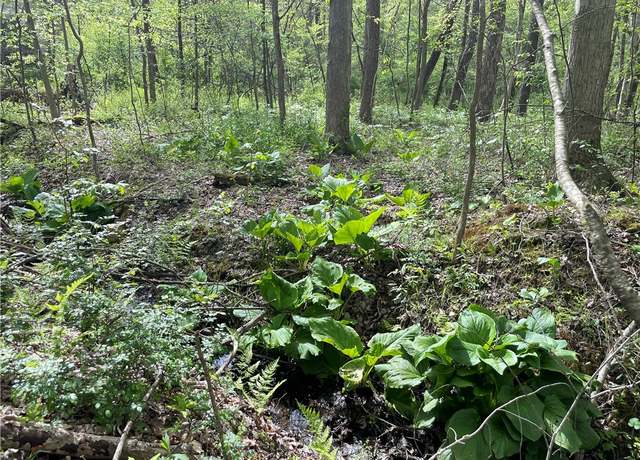 Property at 000 Conneaut Lake Rd, Sugar Grove Twp, PA 16125