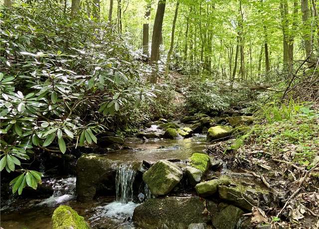 Property at Lot 1C Cottonwood Rd, Bullskin Twp, PA 15610