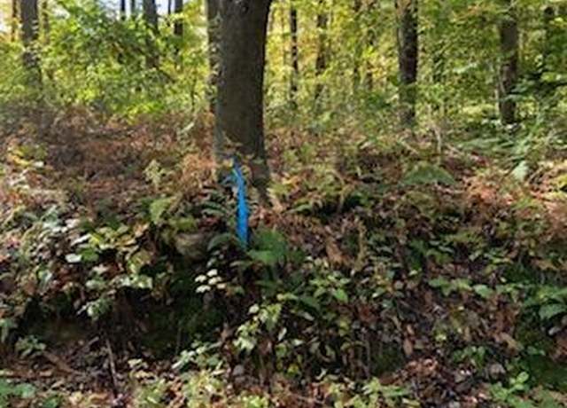 Property at TR312 Ober Rd, Donegal - Wml, PA 15687