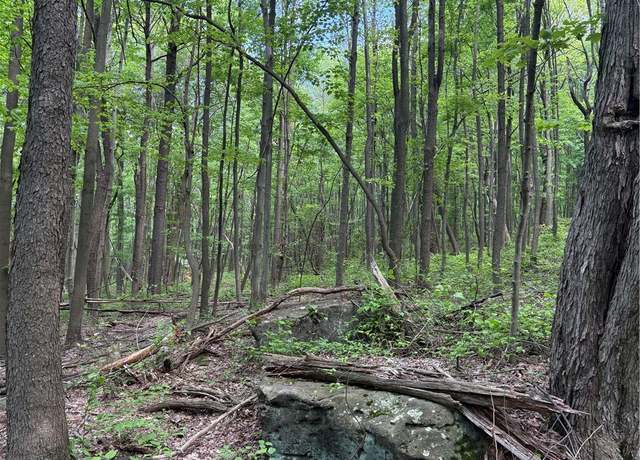 Property at Lot 1B Horseshoe Bend Rd, Bullskin Twp, PA 15610