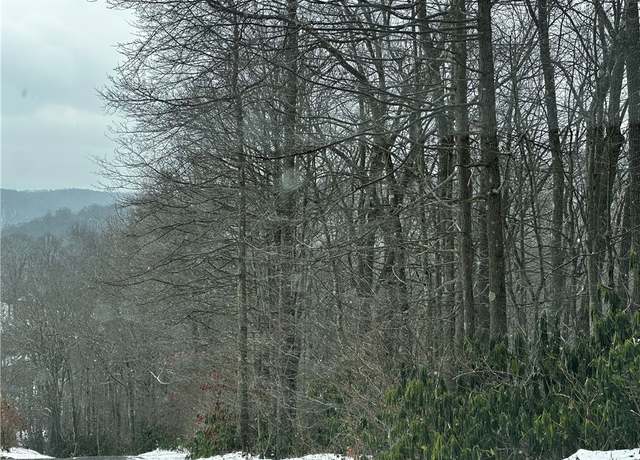 Property at 702 Shepherd Rd, Wharton Twp, PA 15437