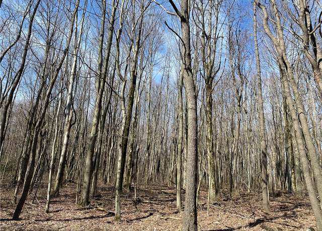 Property at 0 Armel Hollow Rd, Cook Twp, PA 15650