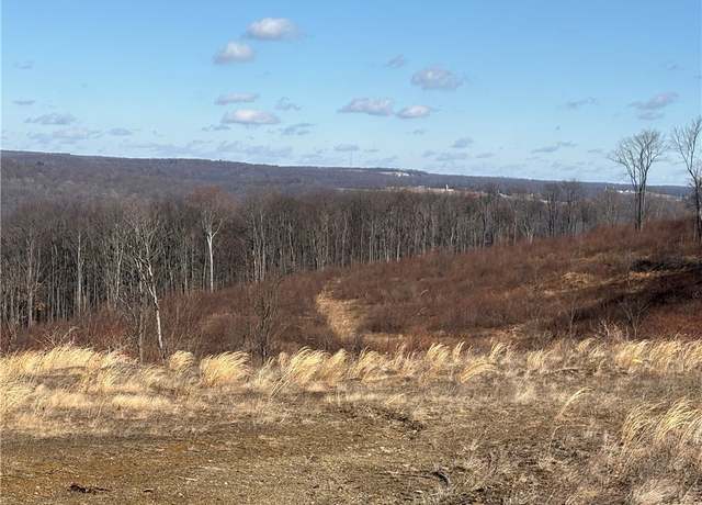 Property at Lot Auction Ln, E/w Wheatfield Twp, PA 15954
