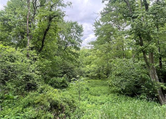 Property at 0 Cadogen Slatelick, North Buffalo Twp, PA 16201
