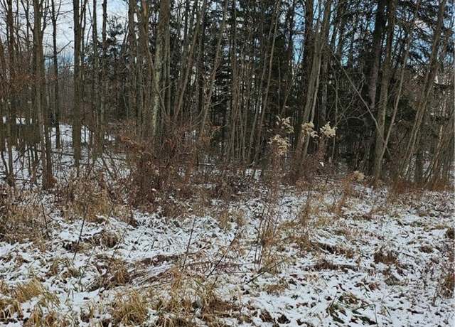 Property at 000 Branchton Rd, Cherry Twp, PA 16020
