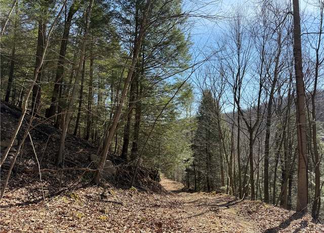Property at 0 Boat Launch Rd, Wayne Twp - Arm, PA 16222