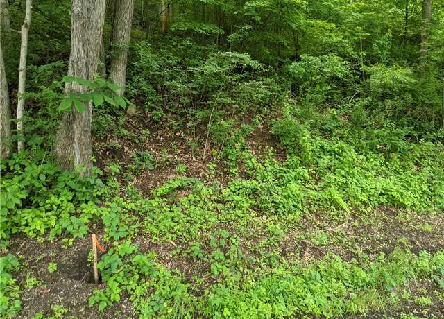 Property at 000 Fanker Rd, Jackson Twp - But, PA 16037