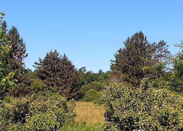 Property at Lot 10 Rt. 618, Conneaut Lake - Cra, PA 16316