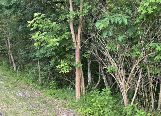 Property at 00 Honor St, Coal Center Boro, PA 15423