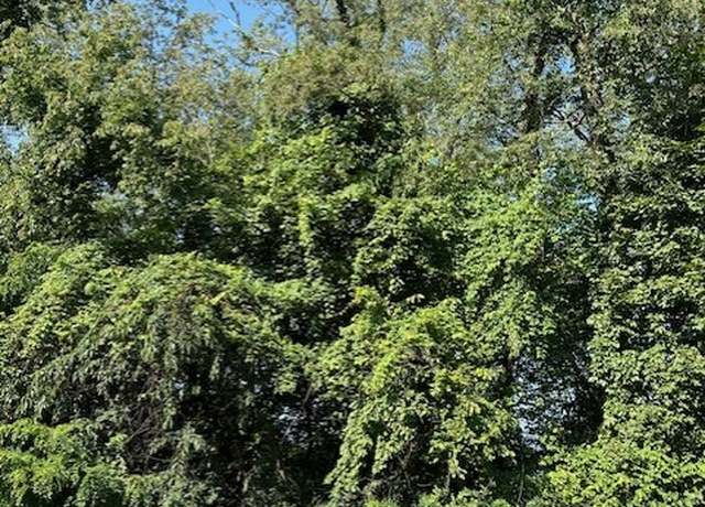 Property at Lots 48 & 49 Roosevelt St, Conway, PA 15027
