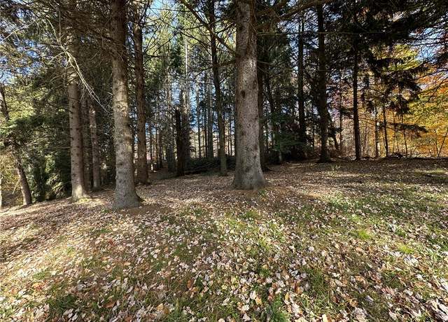 Property at 00 Jervis Lake Rd, Wolf Creek Twp, PA 16127
