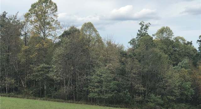 Photo of 0 Dinner Bell Ohiopyle Rd, Wharton Twp, PA 15470