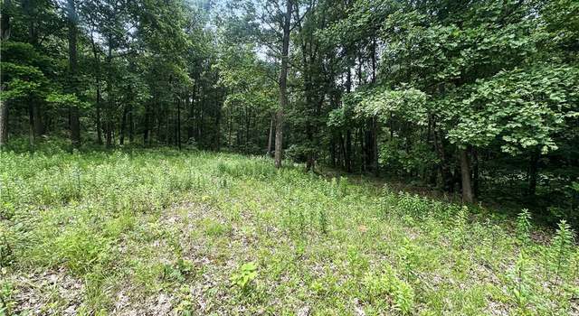 Photo of 0 Coulter Estate Dr, Burgettstown, PA 15021
