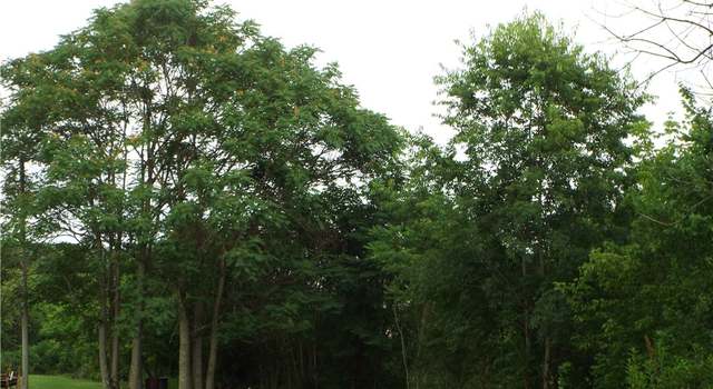 Photo of Vacant Madison Ave Lots, W Brownsville, PA 15417