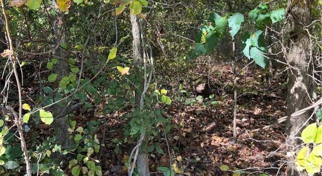 Photo of 00 Crone Hollow Rd, Harmar, PA 15049