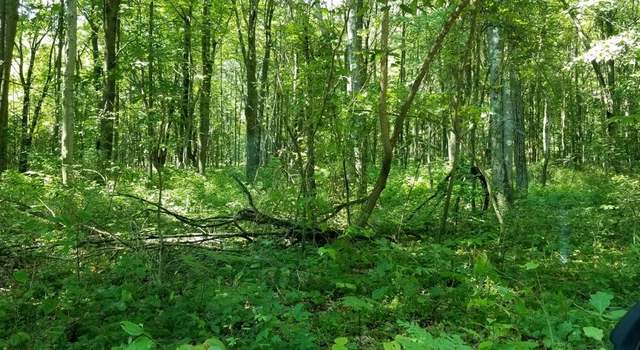 Photo of 0 Tinker Ridge Rd, Ohiopyle, PA 15470