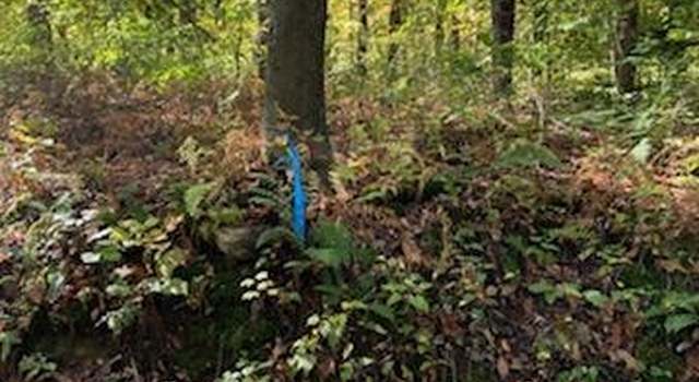 Photo of TR312 Ober Rd, Donegal Township, PA 15687