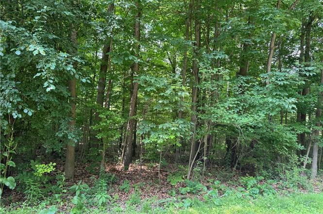 0 Wagon Wheel Ct Lot #57 Pulaski Twp LAW PA 16143 For Sale 0 Wagon Wheel Ct Lot #57 Pulaski Twp LAW PA 16143 For Sale