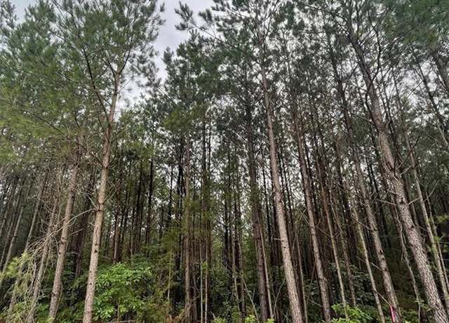 Property at 101 Heavenly Pne, Broken Bow, OK 74728