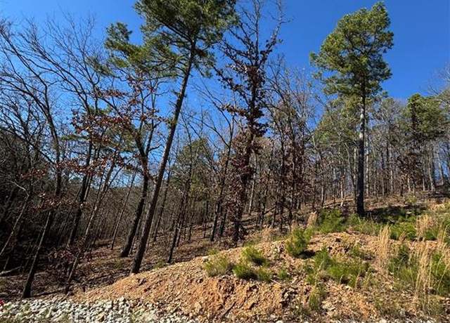Property at 253 Western Pine Trl, Broken Bow, OK 74728