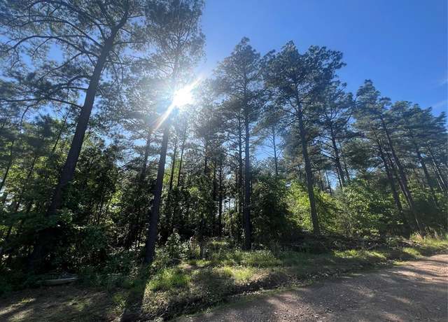 Property at 169 Triton Trl, Broken Bow, OK 74728