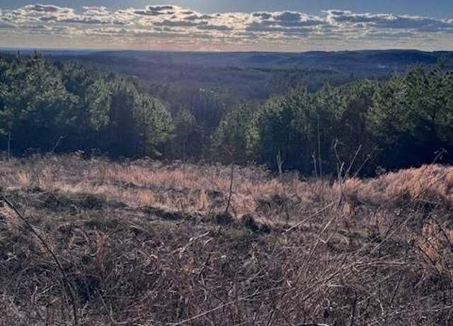 Property at 530 Woodland Bluff Trl, Broken Bow, OK 74728