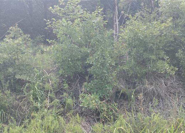 Property at 1 Rainbow St, Minco, OK 73059