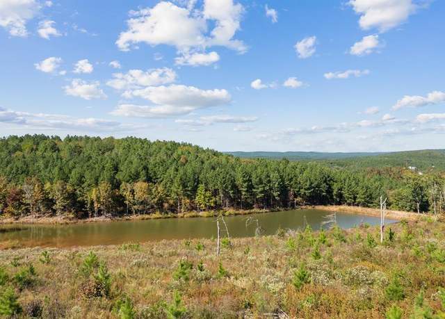 Property at Undisclosed address, Broken Bow, OK 74728